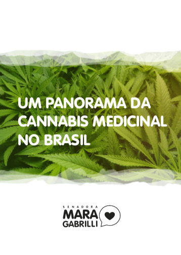 Capa do arquivo, fundo com varias folhas de cannabis